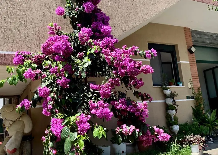 Pensionat Serenade Durrës