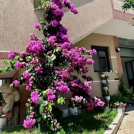 Maison d'hôtes Serenade Durrës