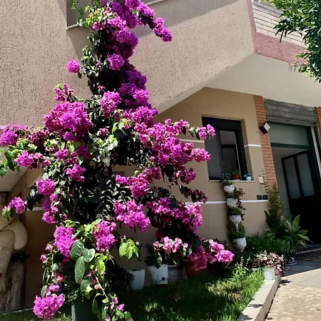 Serenade Durrës